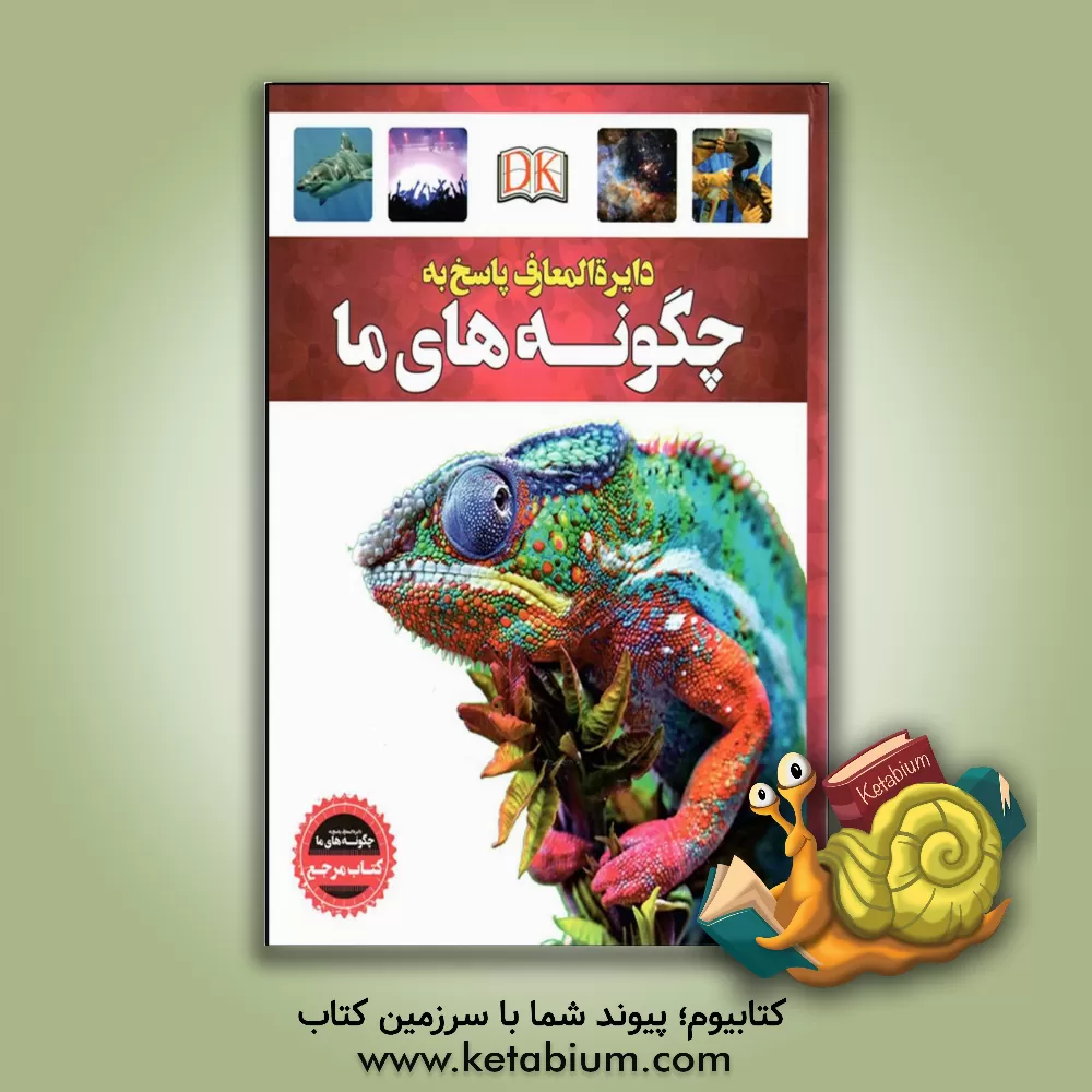 کتاب دایره المعارف پاسخ به چگونه های ما اثر کرتیس اسلپیئن