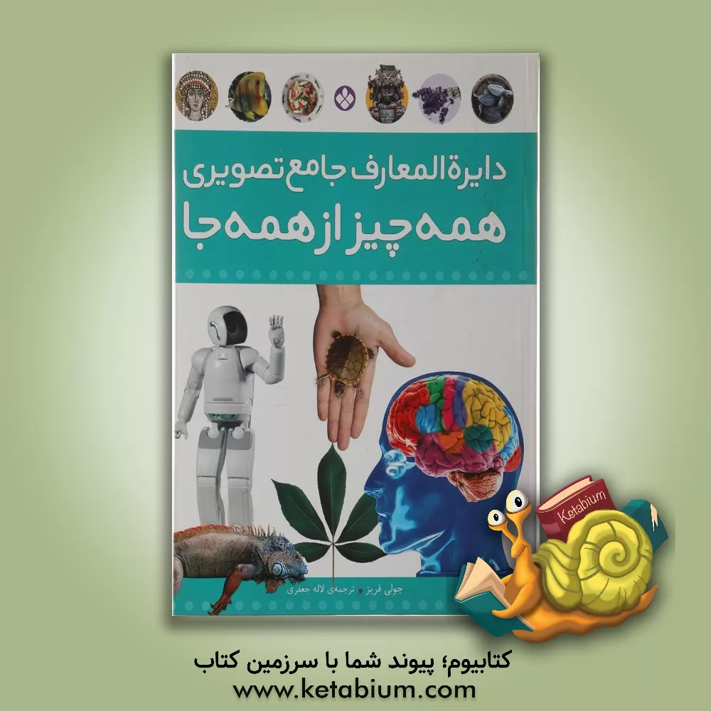 کتاب دایره المعارف جامع تصویری همه چیز از همه جا |اثر جولی فریز