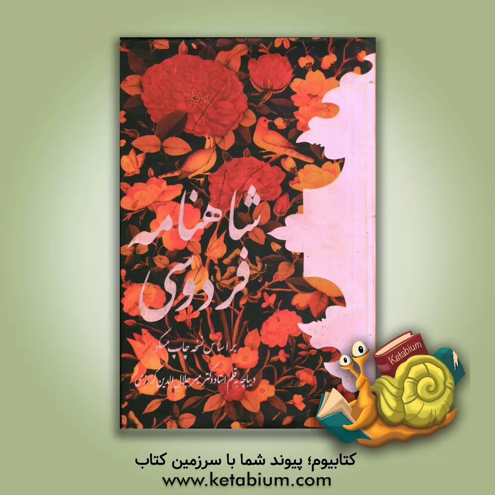 کتاب شاهنامه فردوسی بر اساس نسخه چاپ مسکو اثر ابوالقاسم فردوسی