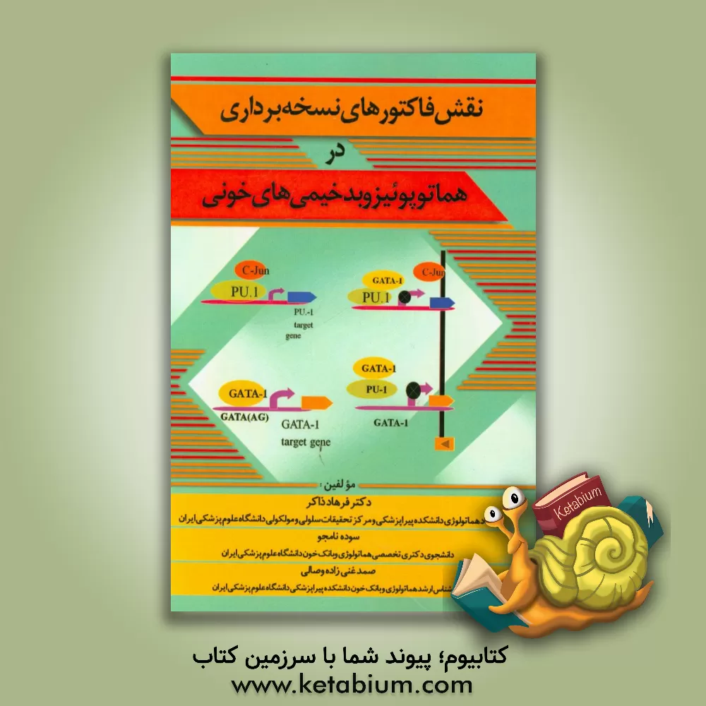 کتاب نقش فاکتورهای نسخه برداری در هماتوپوئیز و بدخیمی های خونی اثر سوده نامجو