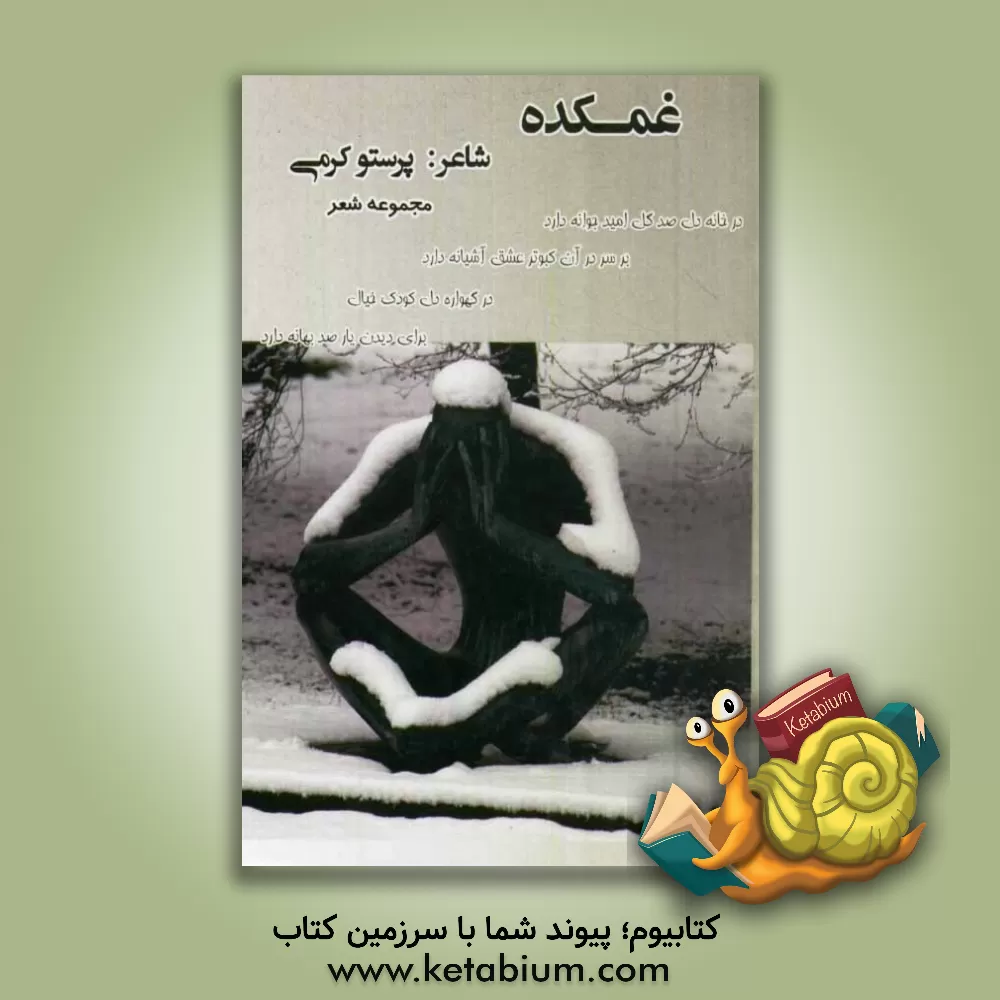کتاب غمکده: عمق احساس اثر پرستو کرمی