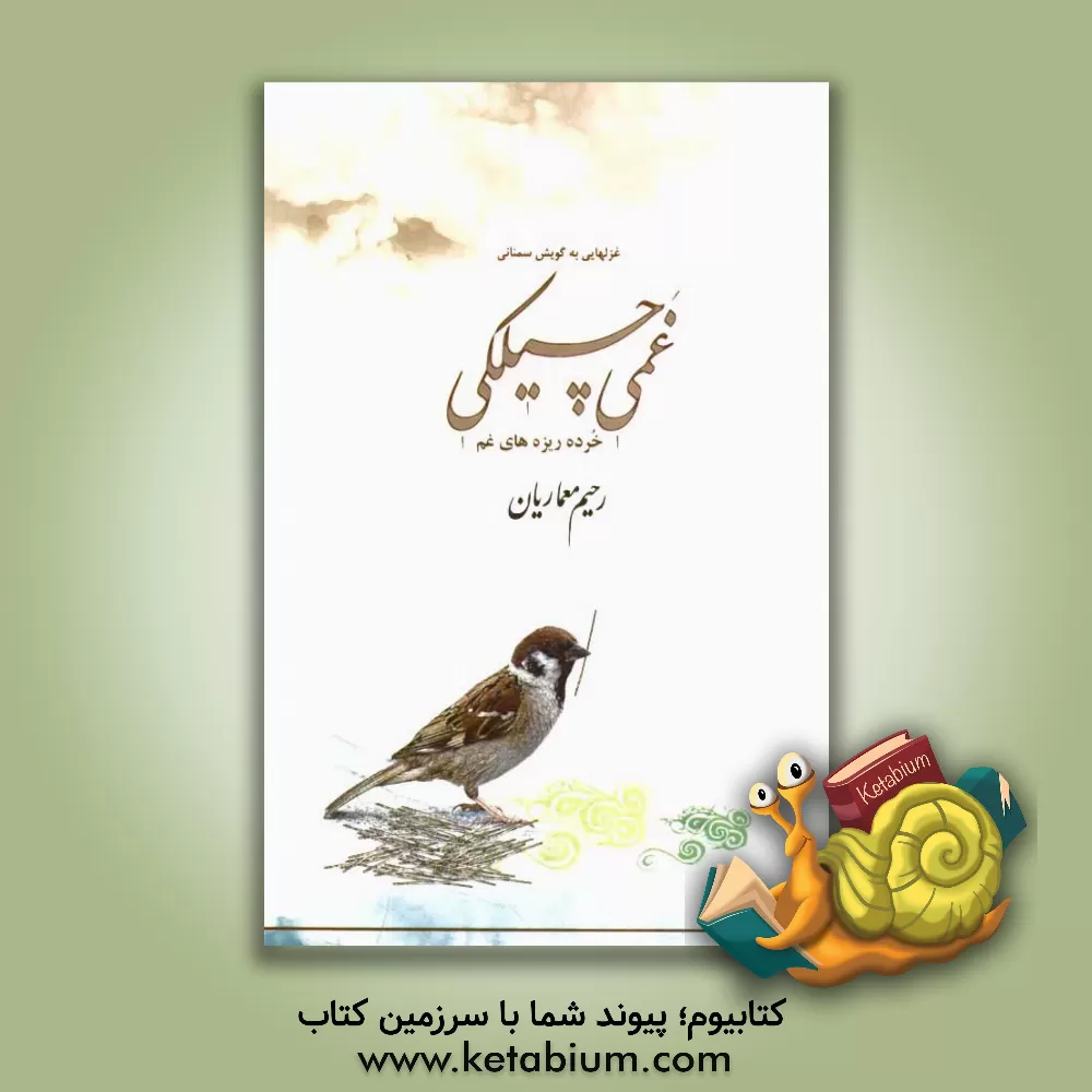 کتاب غمی چیلکی = خرده ریزه های غم اثر رحیم معماریان