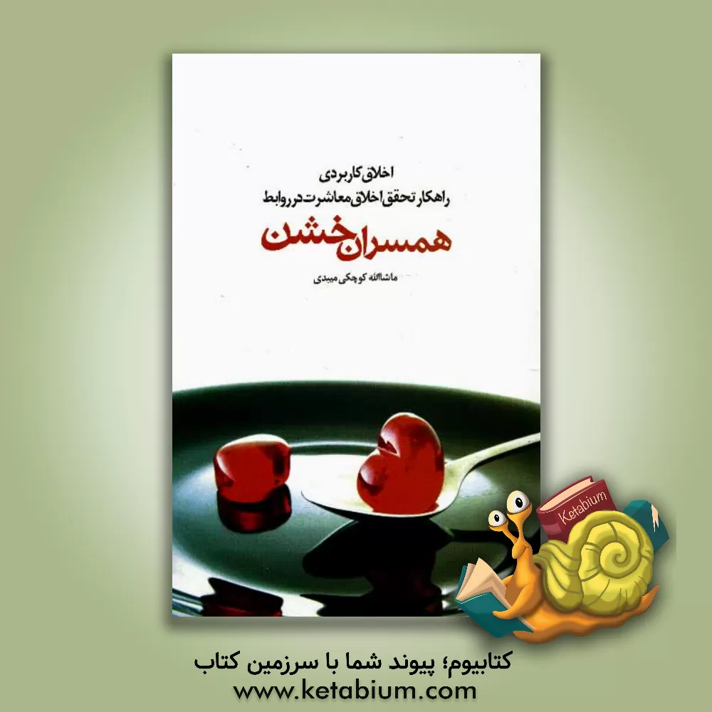 کتاب اخلاق کاربردی (آیین زندگی): راهکار تحقق اخلاق معاشرت در روابط همسران خشن اثر ماشاء‌الله کوچکی‌میبدی