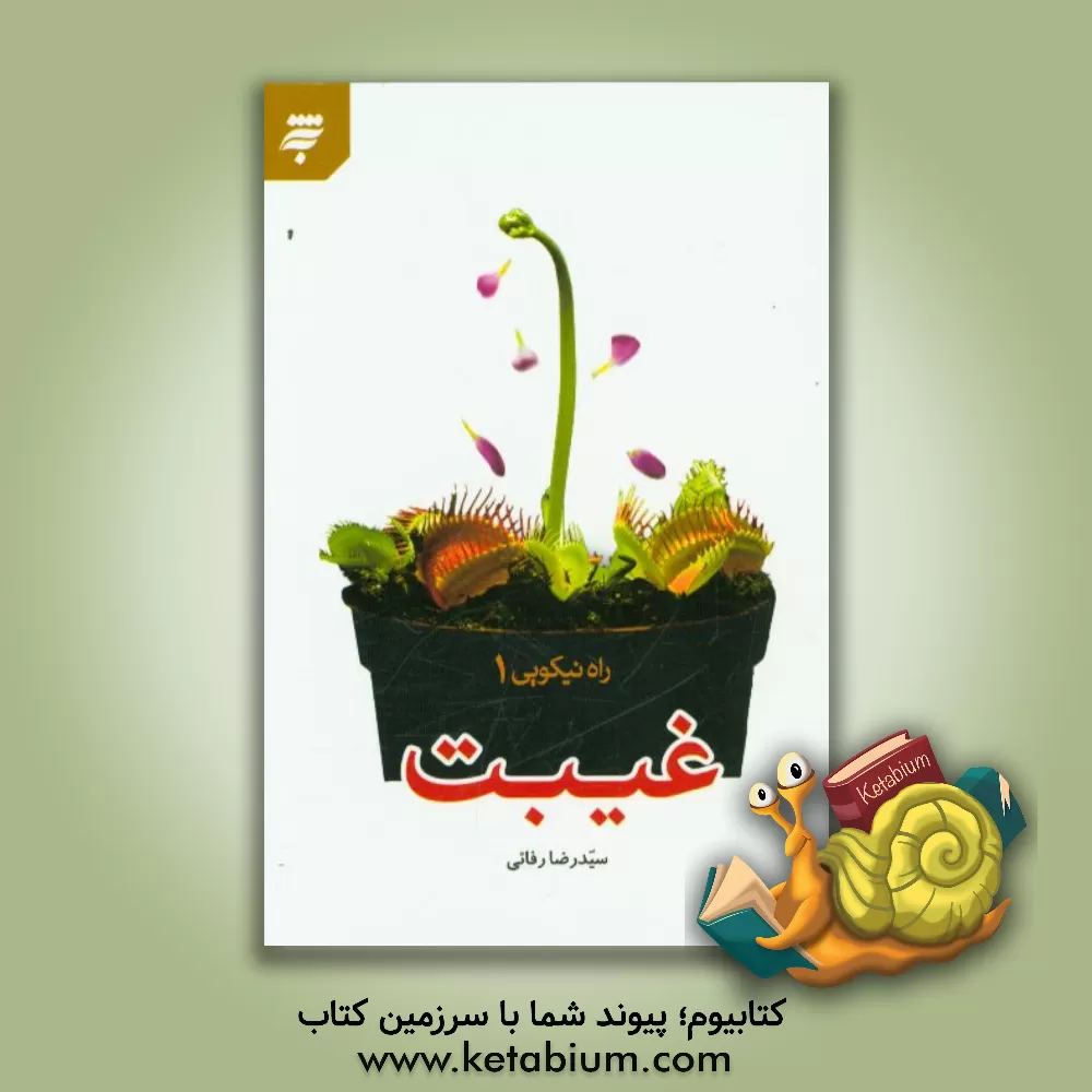 کتاب غیبت اثر سیدرضا رفائی