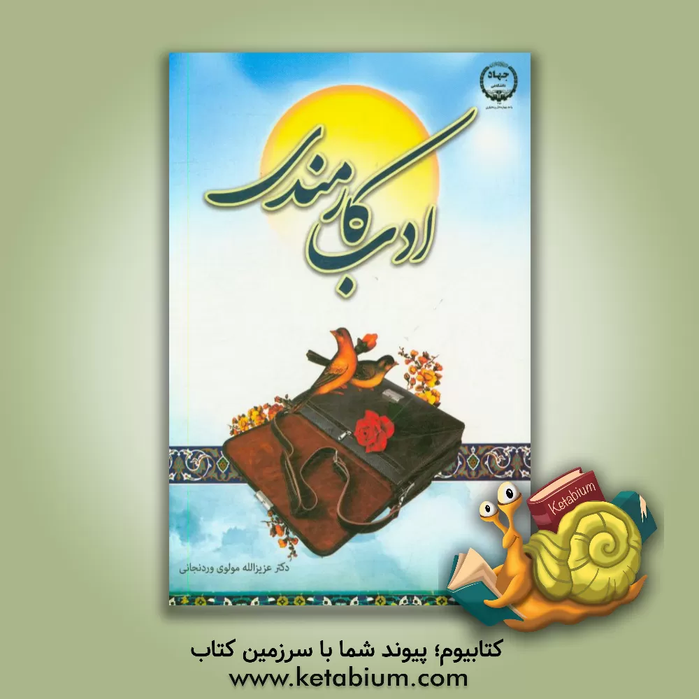 کتاب ادب کارمندی: «آشنایی با خطاهای شناختی و رفتاری منابع انسانی در سازمان» ویژه مدیران و کارمندان دستگاه های دولتی و بخش خصوصی اثر عزیزالله مولوی‌وردنجانی