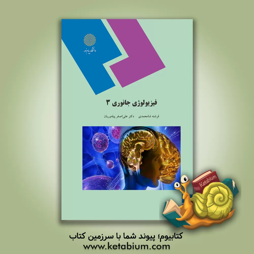 کتاب نقشه برداری نظری (رشته جغرافیا) |اثر قاسمعلی کشکولی