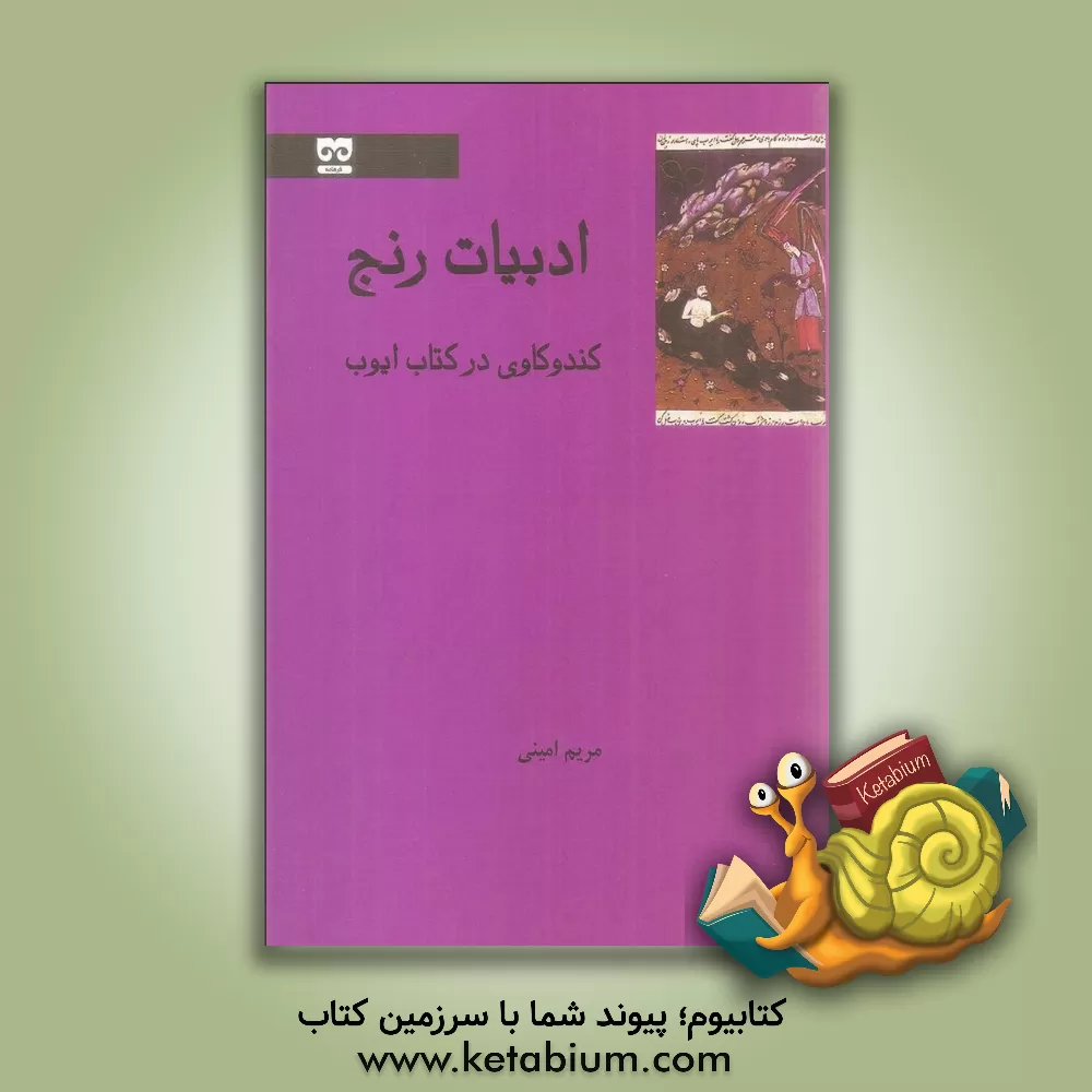 کتاب ادبیات رنج: کندوکاوی در کتاب ایوب |اثر مریم امینی