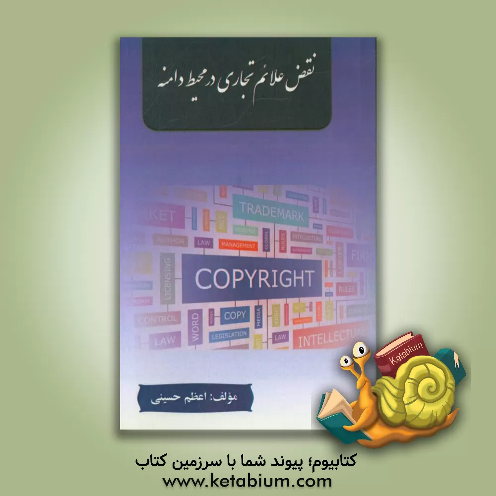 کتاب نقض علائم تجاری در محیط دامنه اثر اعظم حسینی