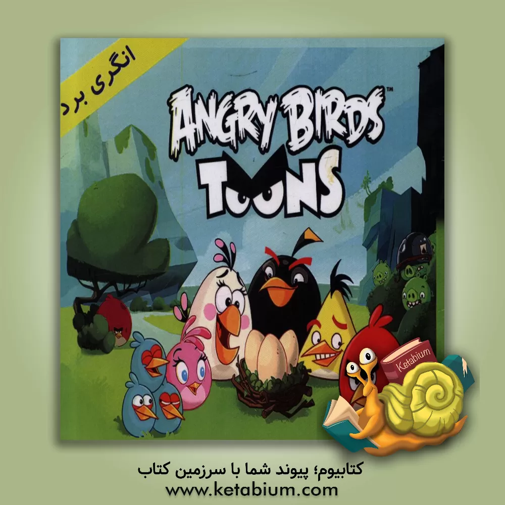 کتاب انگری برد اثر وحید سلیمانی‌زاده