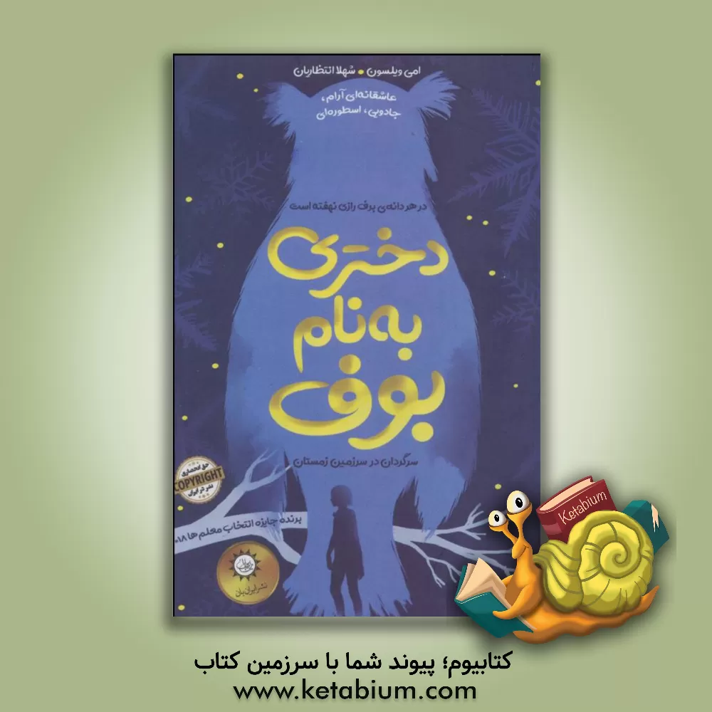 کتاب دختری به نام بوف سرگردان در سرزمین زمستان اثر ایمی ویلسون