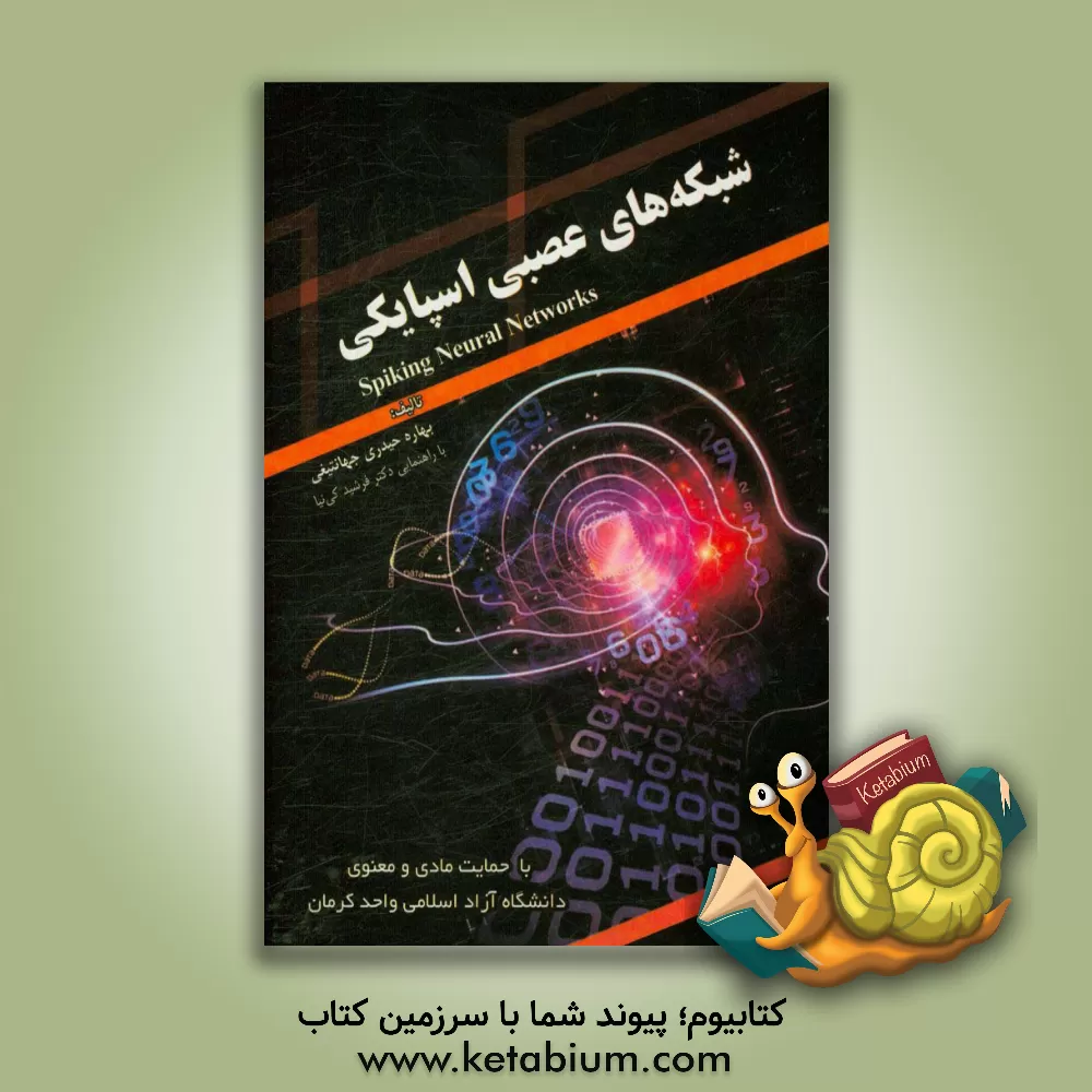 کتاب شبکه های اسپایکی اثر بهاره حیدری‌جهانتیغی