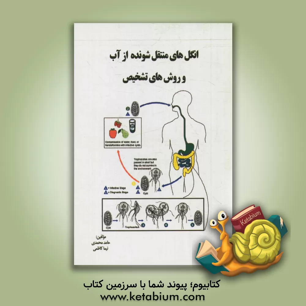 کتاب انگل های منتقل شونده از آب و روش های تشخیص اثر حامد محمدی