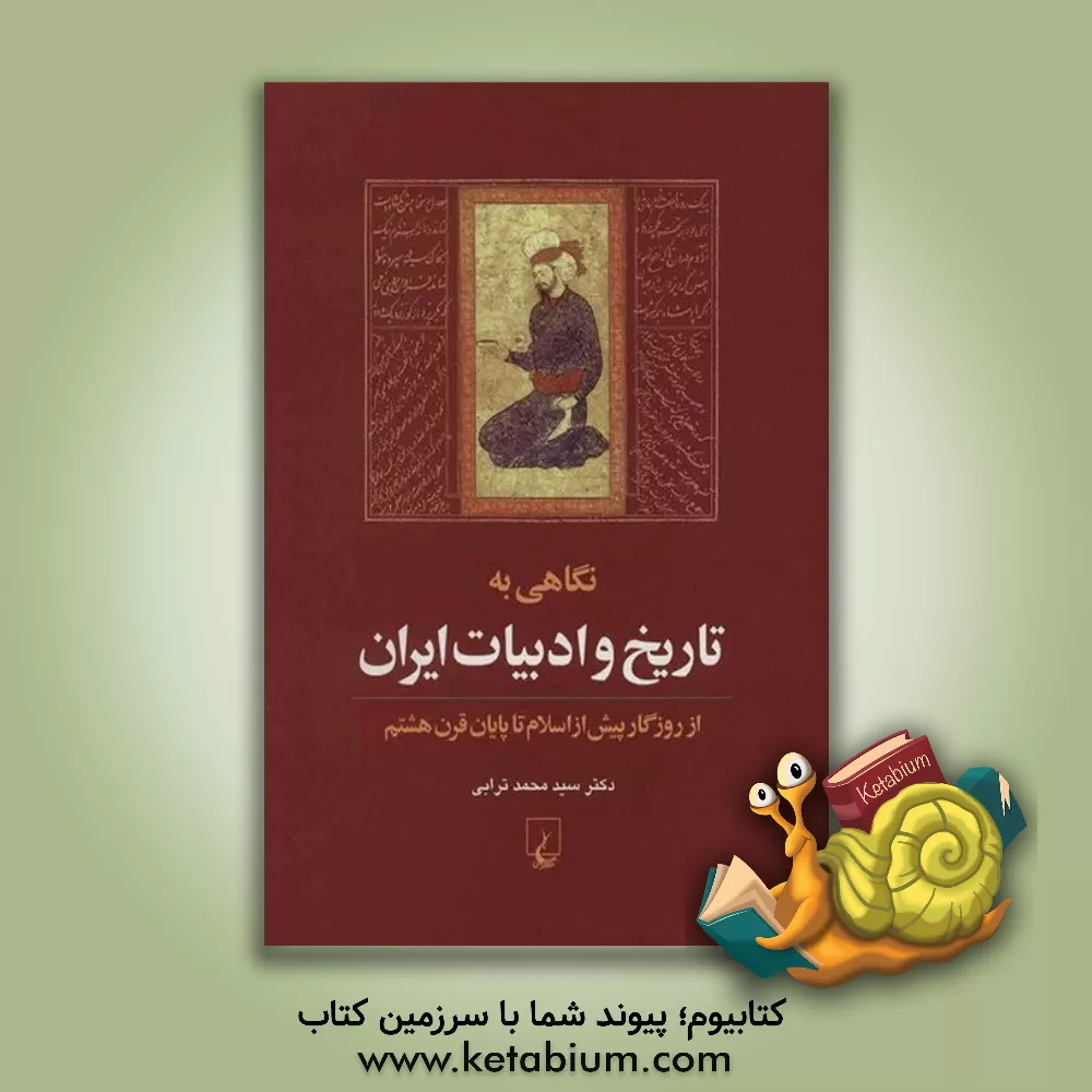 کتاب نگاهی به تاریخ و ادبیات ایران: از روزگار پیش از اسلام تا پایان قرن هشتم اثر سیدمحمد ترابی