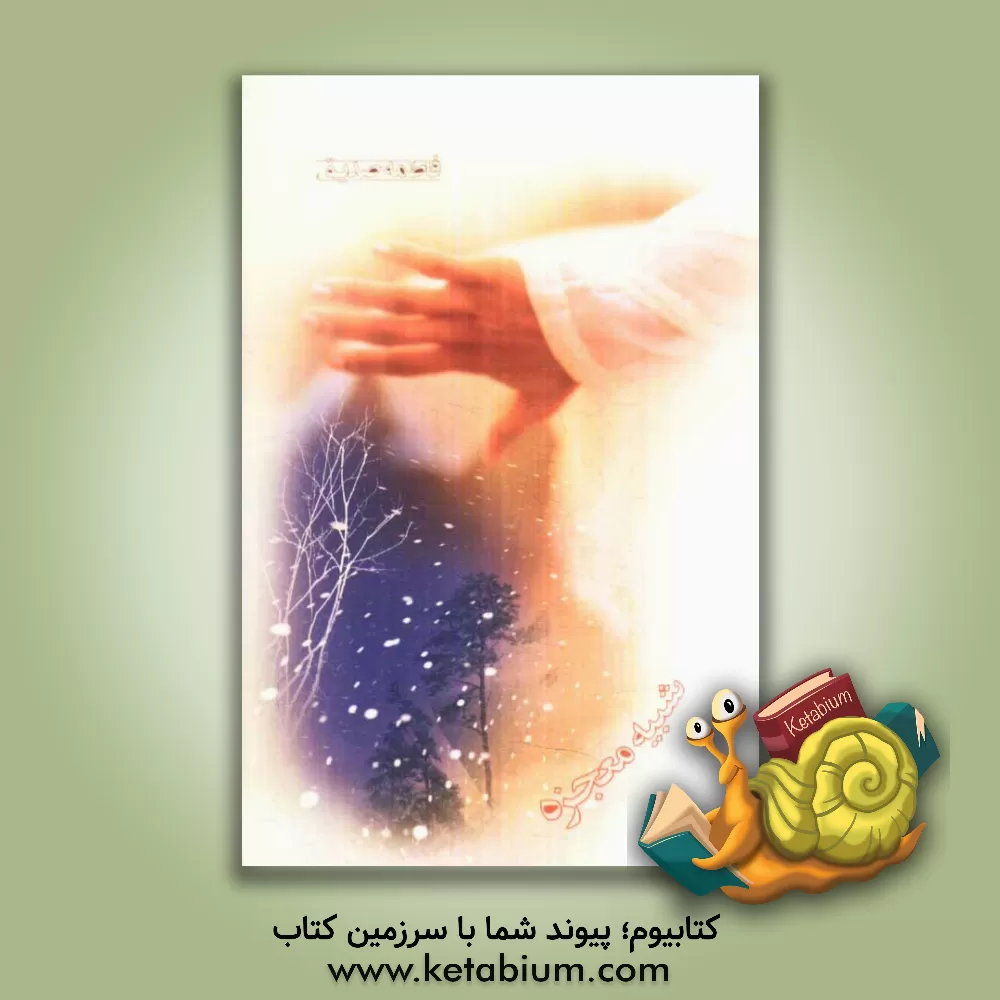 کتاب شبیه معجزه اثر فاطمه صدیق‌ارده‌جان