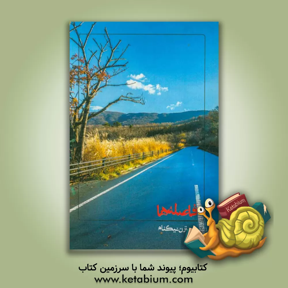 کتاب فاصله ها‏‫ اثر نسترن نیکنام