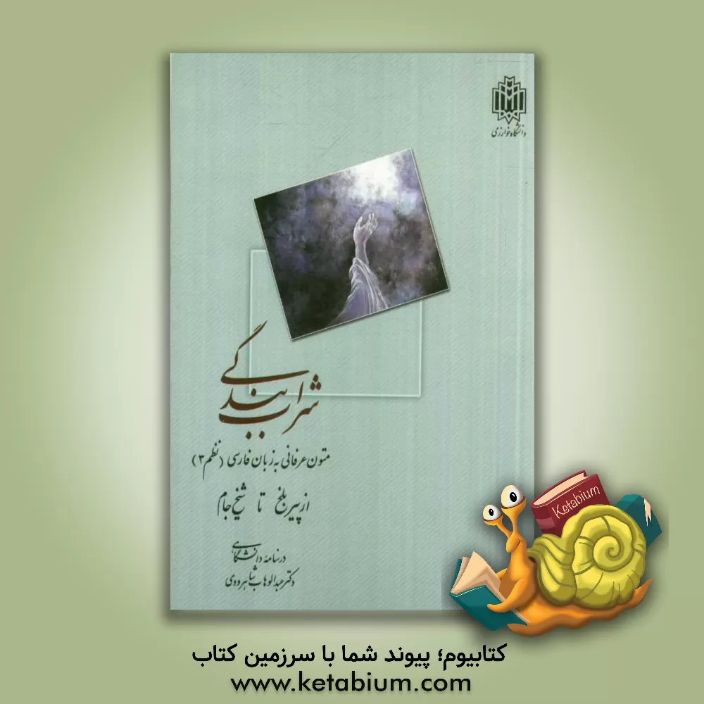 کتاب شراب بندگی: متون عرفانی به زبان فارسی (نظم 3): از پیر بلخ تا شیخ جام (درسنامه دانشگاهی) اثر عبدالوهاب شاهرودی