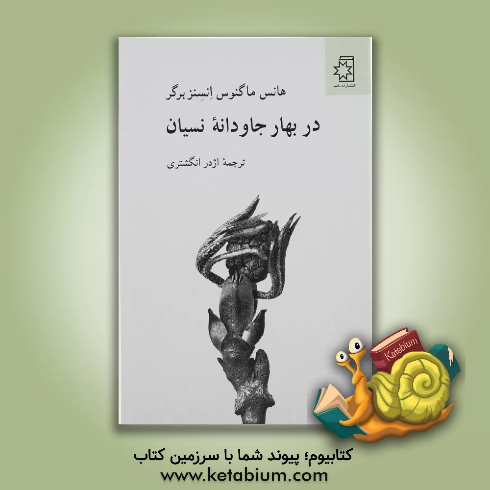 کتاب در بهار جاودانه نسیان: گزیده ای از اشعار هانس  ماگنوس انسنزبرگر (همراه با یک سخنرانی) اثر هانس‌ماگنوس انتسنسبرگر