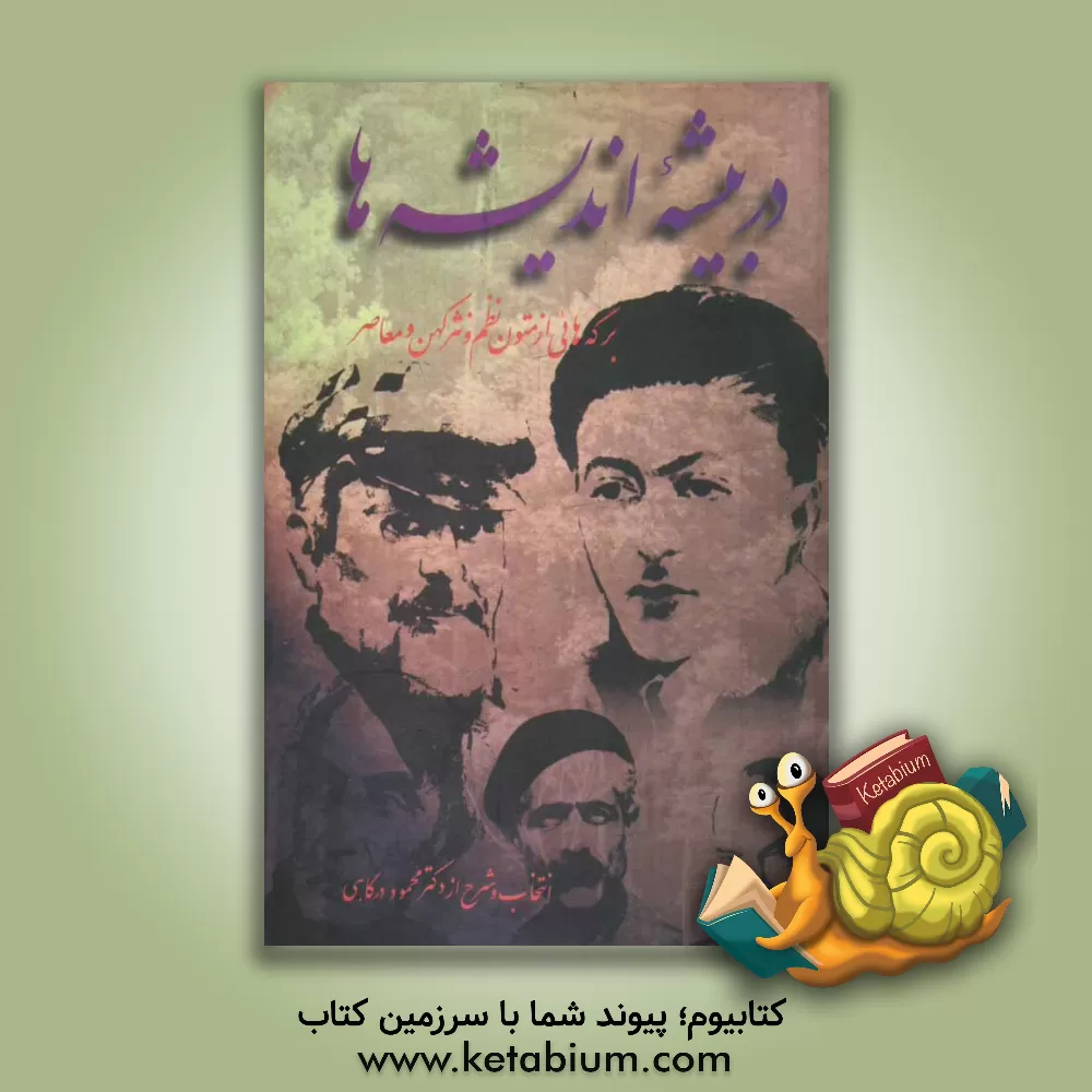 کتاب در بیشه اندیشه ها (گلبرگها) اثر محمود درگاهی