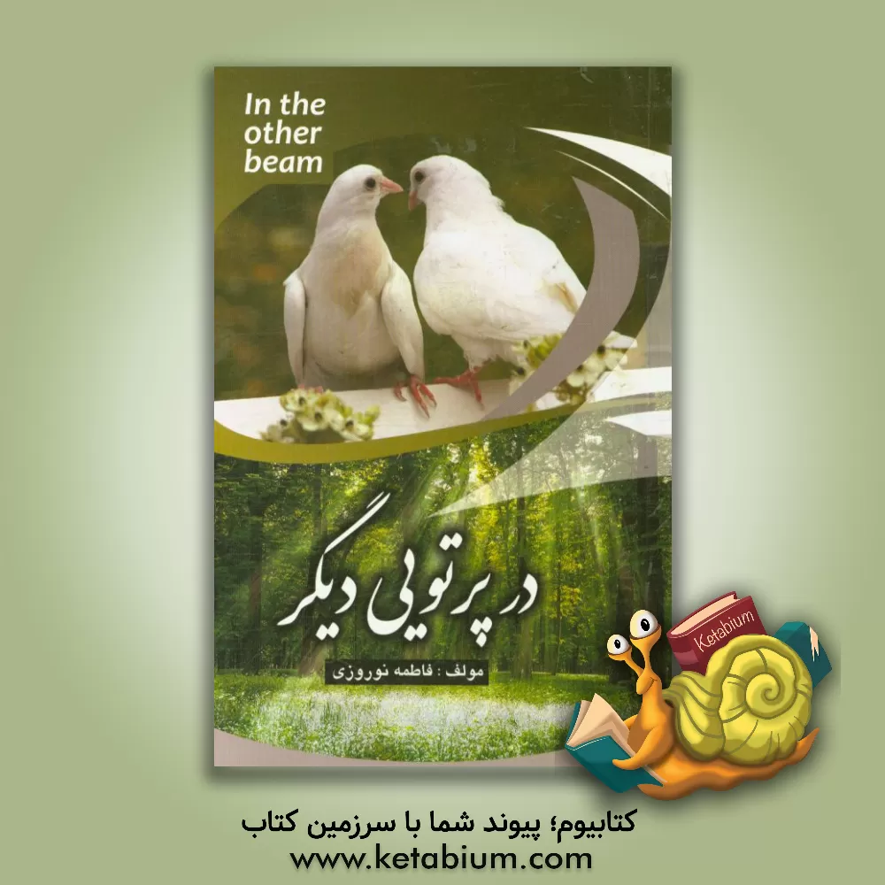 کتاب در پرتوی دیگر اثر فاطمه نوروزی