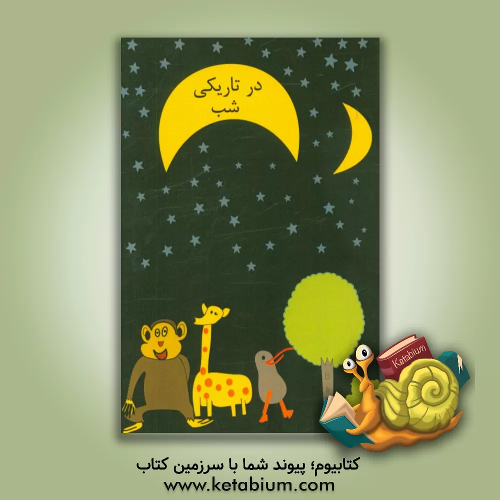 کتاب در تاریکی شب اثر نیما دستجانی‌فراهانی