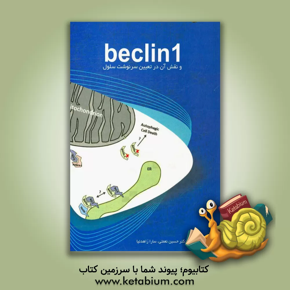 کتاب Beclin1 و نقش آن در تعیین سرنوشت سلول‏‏‬ اثر دلارام درود
