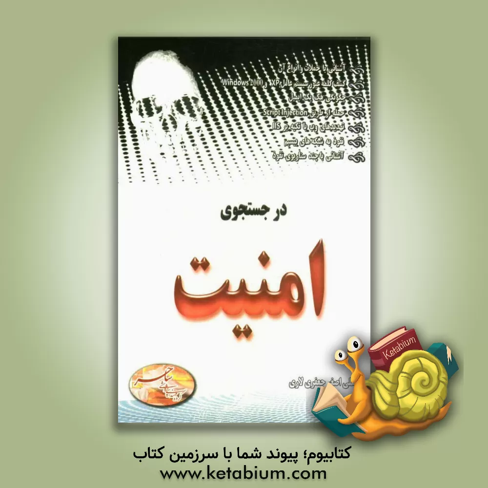 کتاب در جستجوی امنیت اثر علی‌اصغر جعفری‌لاری