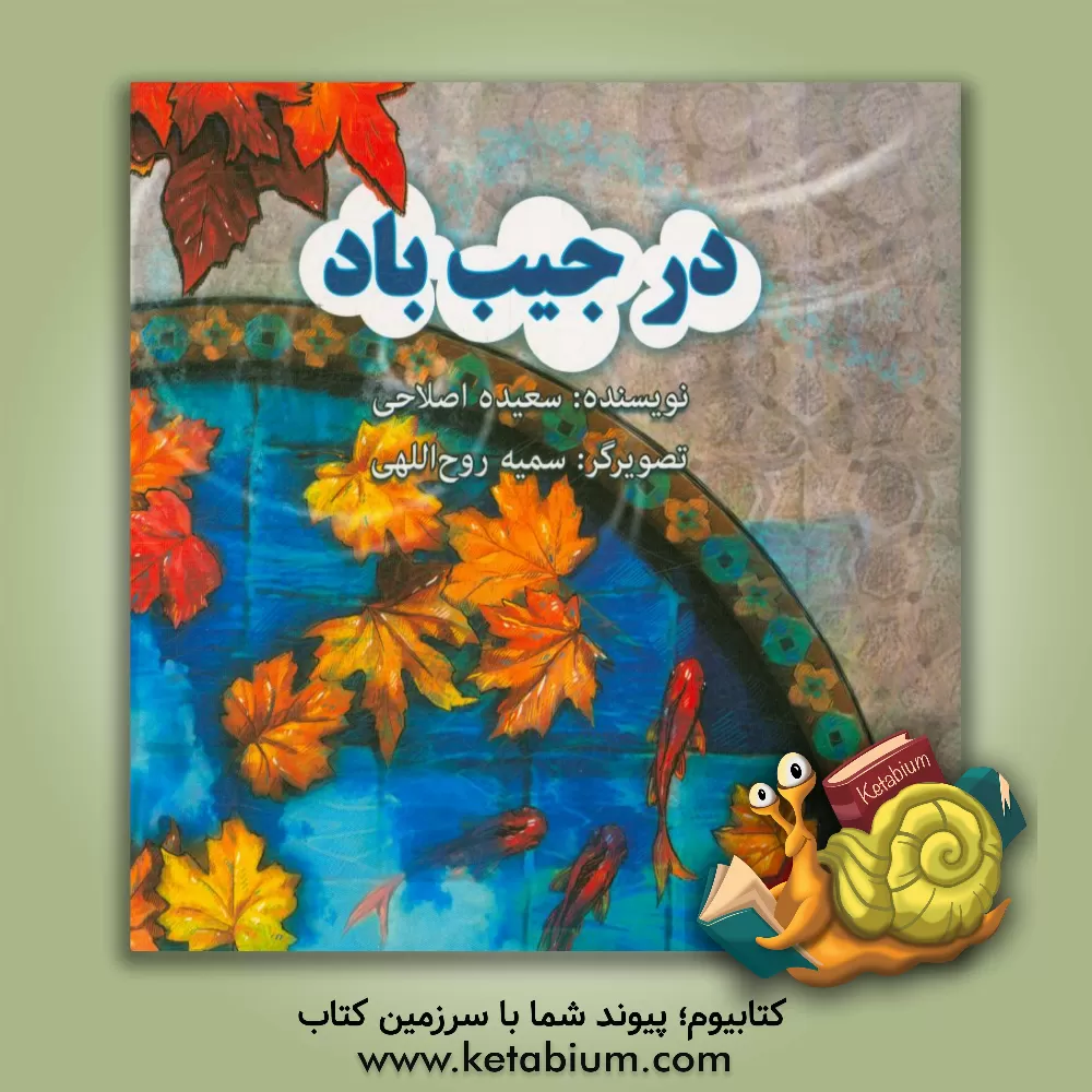 کتاب در جیب باد اثر سعیده اصلاحی