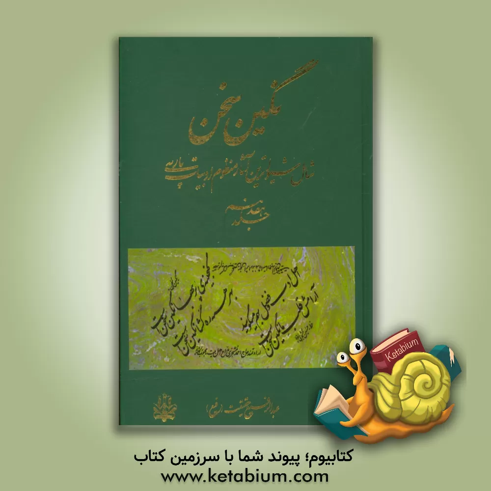 کتاب نگین سخن: شامل شیواترین آثار منظوم ادبیات پارسی اثر عبدالرفیع حقیقت