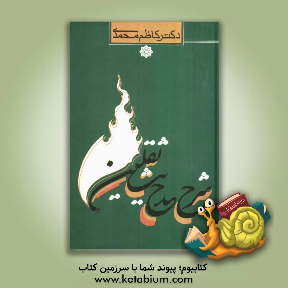 کتاب شرح حدیث ثقلین اثر کاظم محمدی‌وایقانی