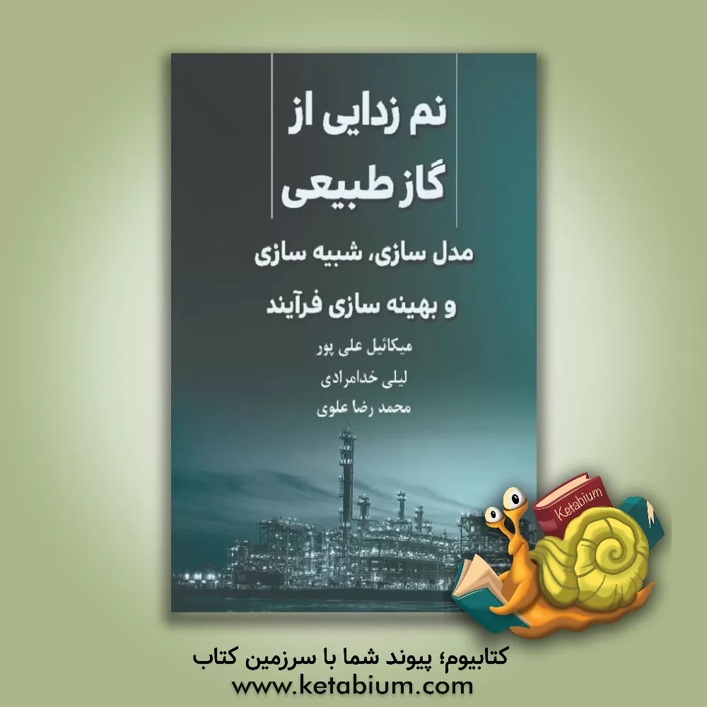 کتاب نم زدایی از گاز طبیعی: مدلسازی، شبیه سازی و بهینه سازی فرآیند اثر میکائیل علی‌پور