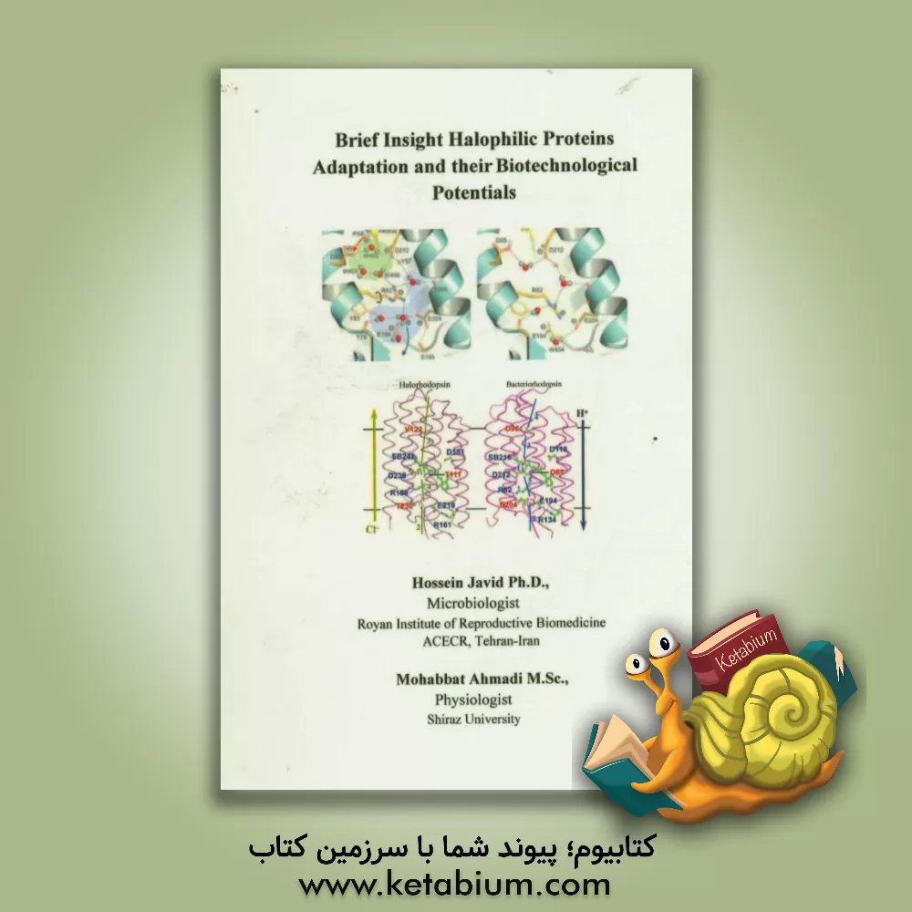 کتاب Brief insight halophilic proteins adaptation and their biotechnological potentials اثر حسین جاوید