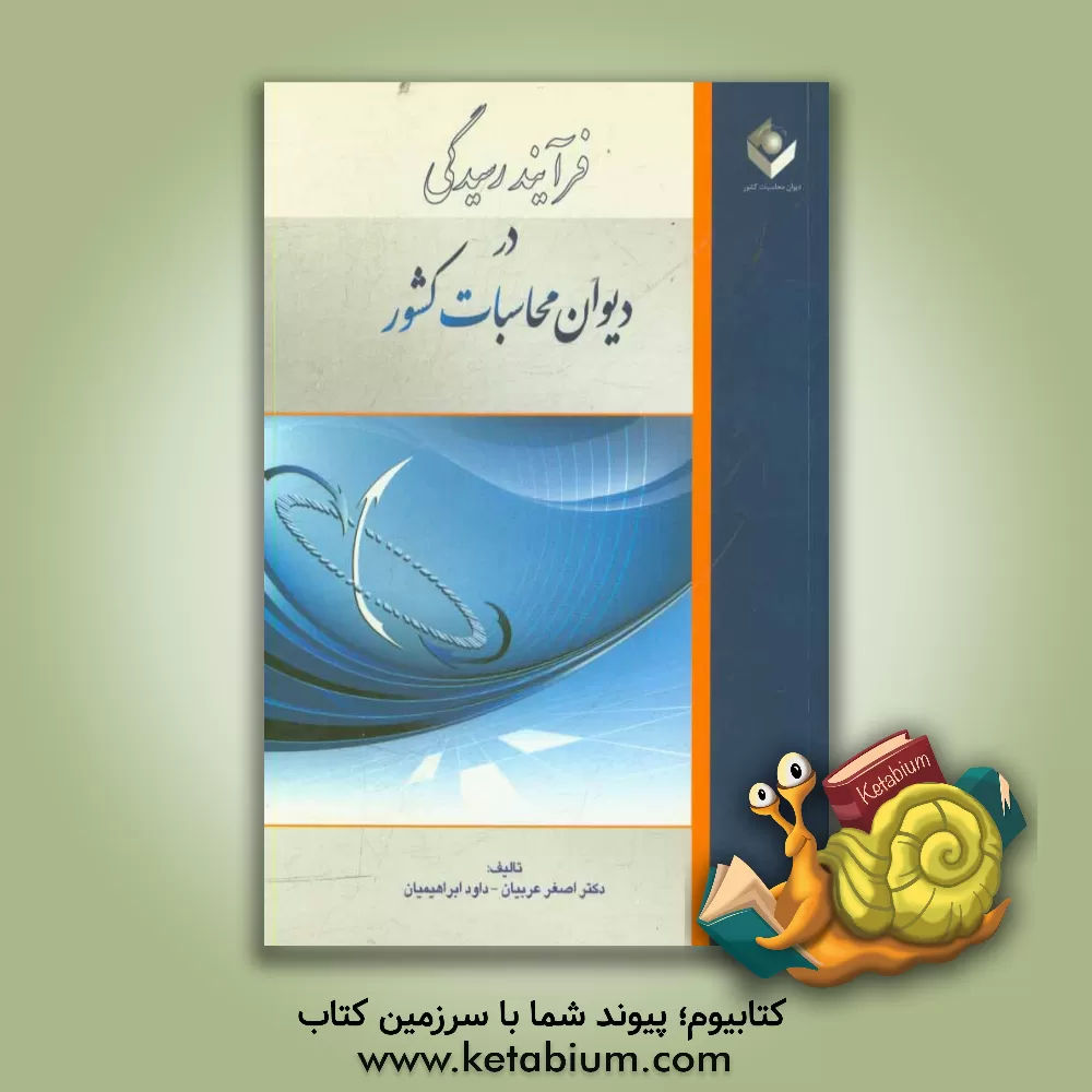 کتاب فرآیند رسیدگی در دیوان محاسبات کشور اثر اصغر عربیان