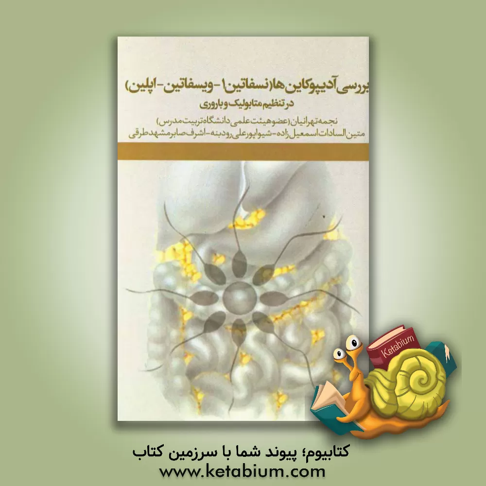 کتاب اهمیت ادیپوکاین ها (نسفاتین - 1 ویسفاتین و اپلین) در تنظیم متابولیک و باروری اثر نجمه تهرانیان
