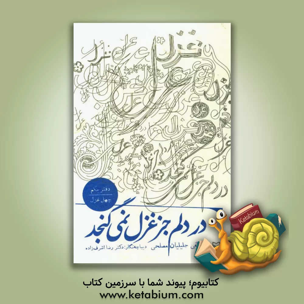 کتاب در دلم جز غزل نمی گنجد: چهل غزل اثر مصطفی جلیلیان‌مصلحی