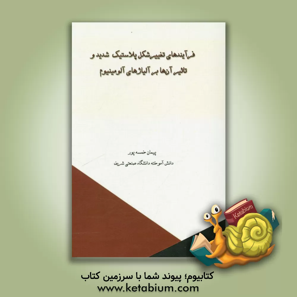 کتاب فرآیندهای تغییر شکل پلاستیک شدید و تاثیر آن ها بر آلیاژهای آلومینیوم اثر پیمان خمسه‌پور
