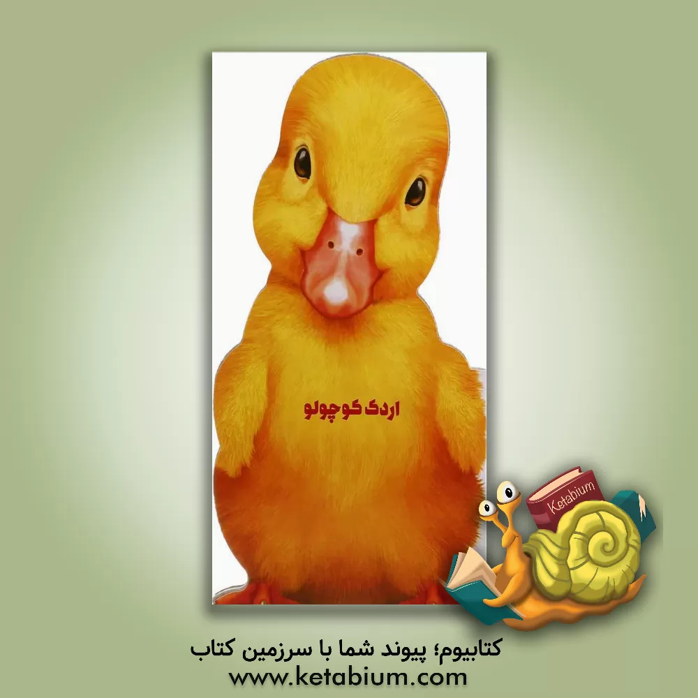 کتاب اردک کوچولو اثر جووانی کاویتسل