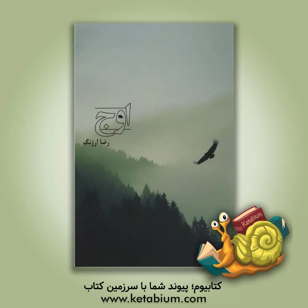 کتاب اوج اثر رضا ارژنگ