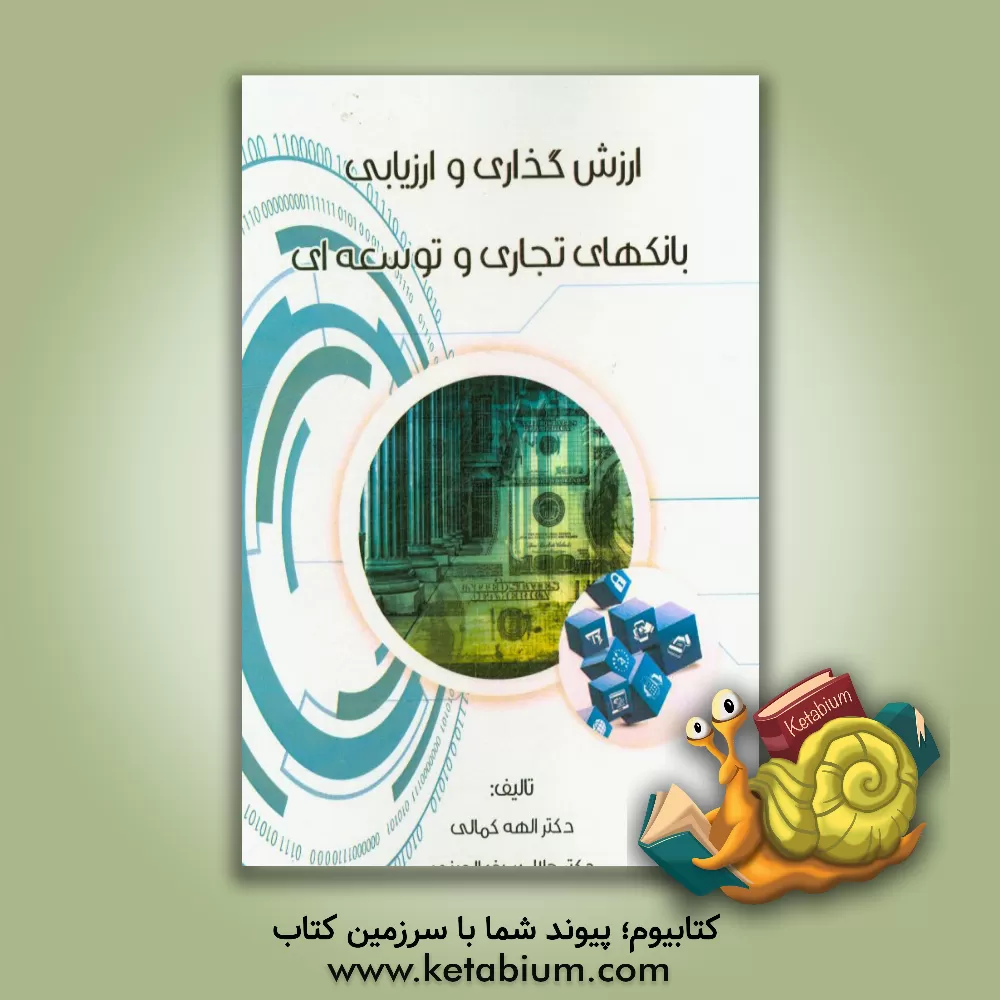 کتاب ارزش گذاری و ارزیابی بانک های تجاری و توسعه ای اثر الهه کمالی
