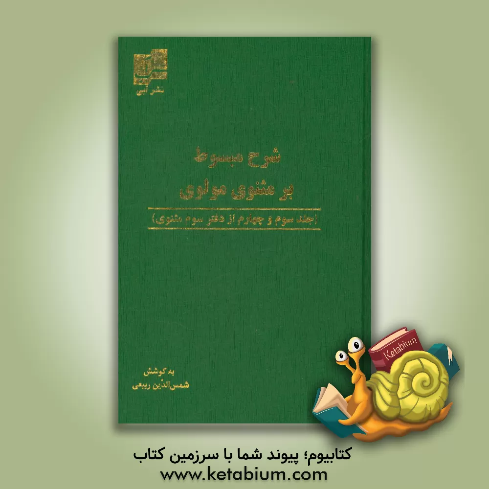 کتاب شرح مبسوط بر مثنوی حضرت مولانا (جلد سوم و چهارم) اثر شمس‌الدین ربیعی