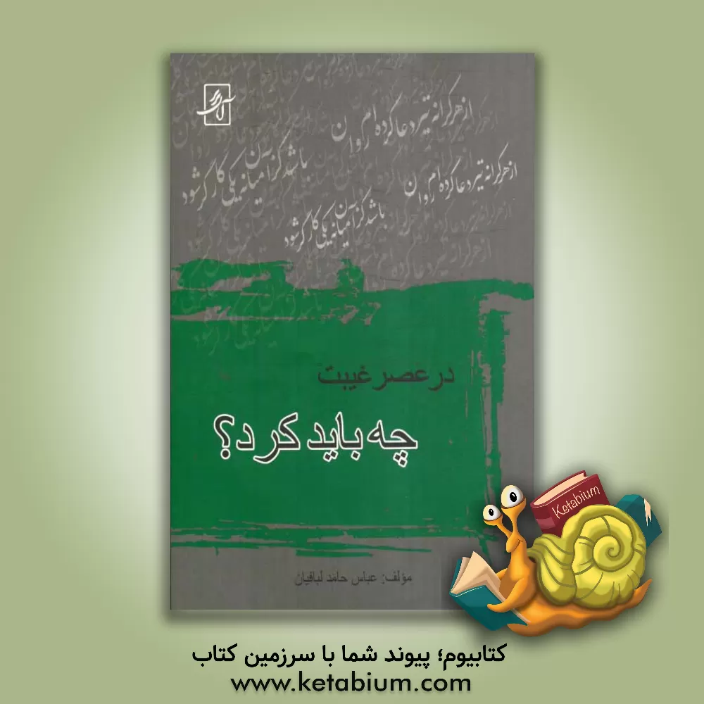 کتاب در عصر غیبت چه باید کرد؟ اثر عباس حامدلبافیان