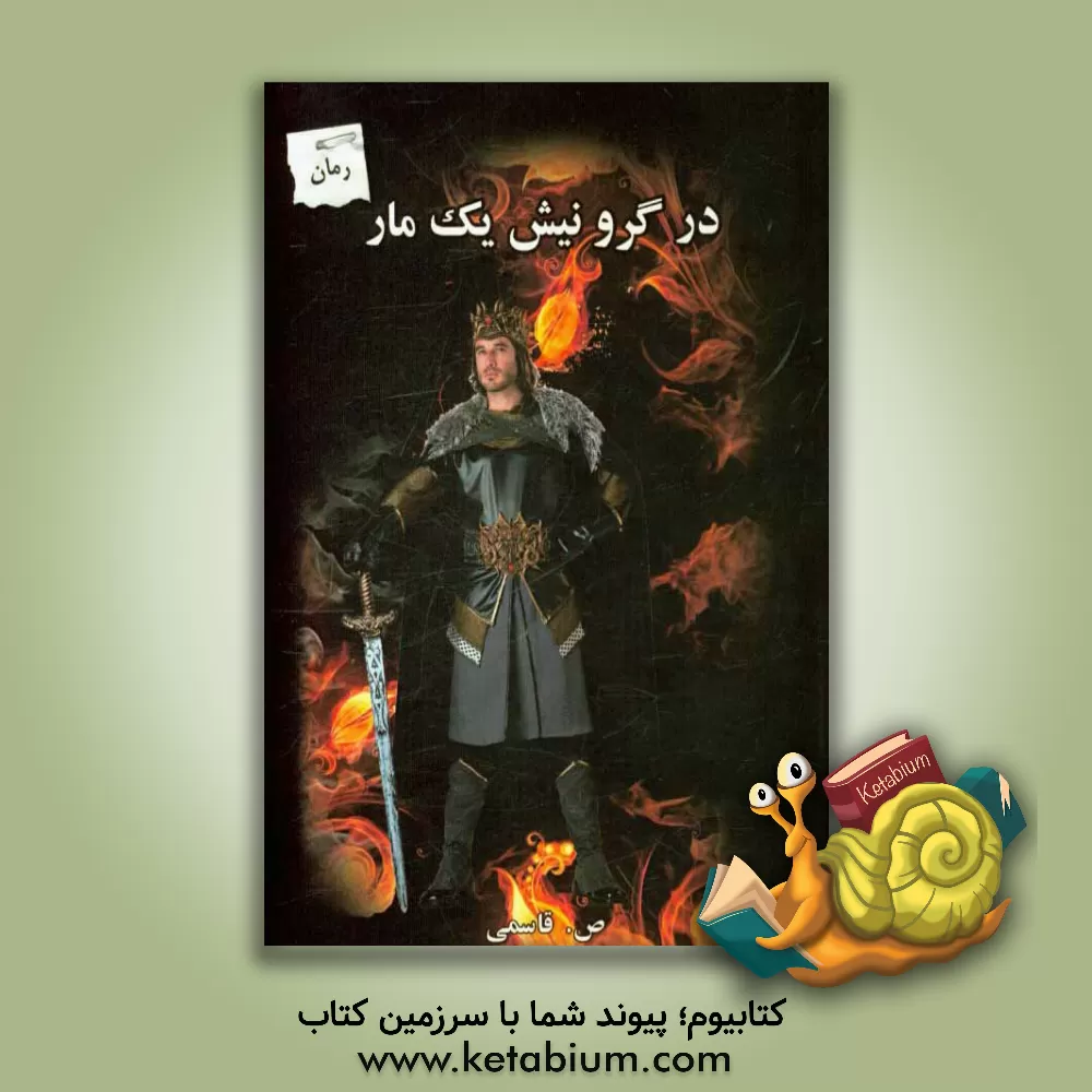 کتاب در گرو نیش یک مار اثر صفورا قاسمی