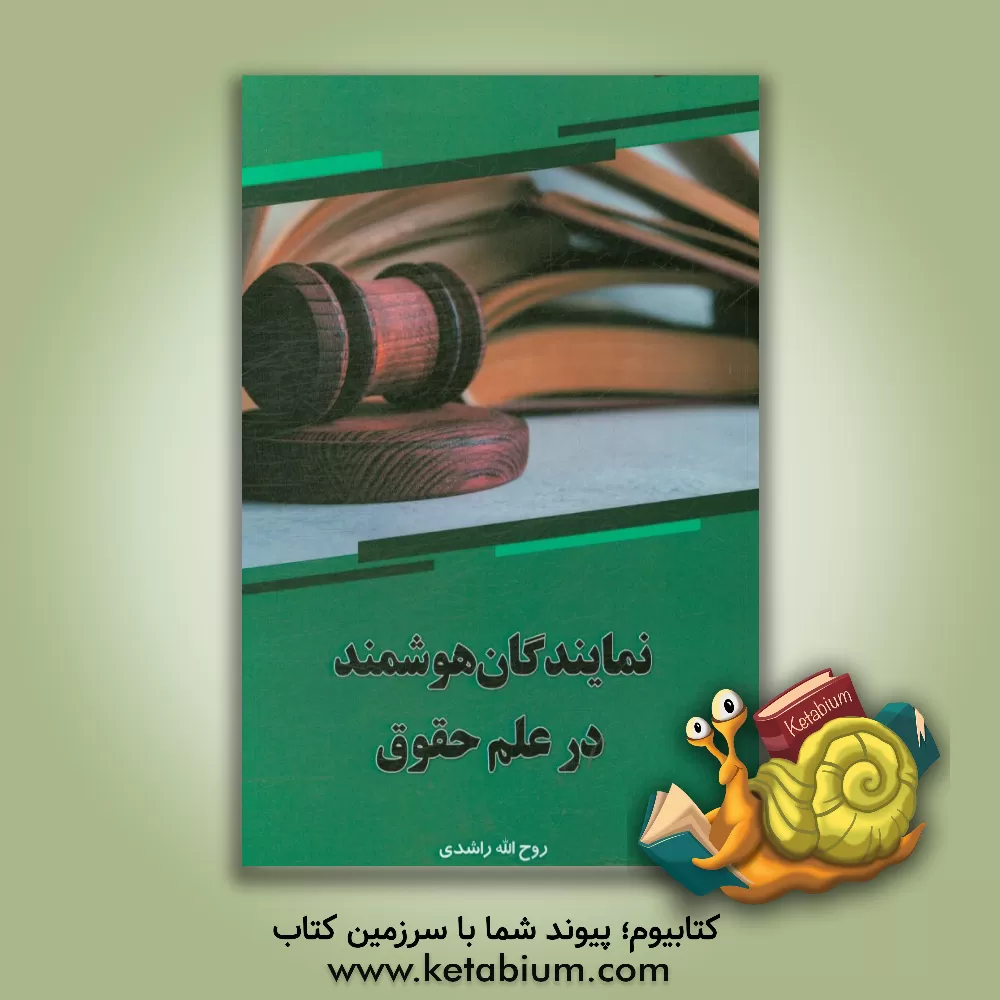 کتاب نمایندگان هوشمند در علم حقوق اثر روح‌الله راشدی