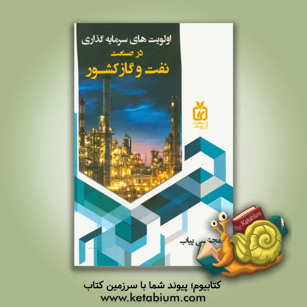 کتاب اولویت های سرمایه گذاری در صنعت نفت و گاز کشور اثر مجتبی پیاب