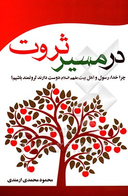 کتاب در مسیر ثروت اثر محمود محمدی‌ارمندی