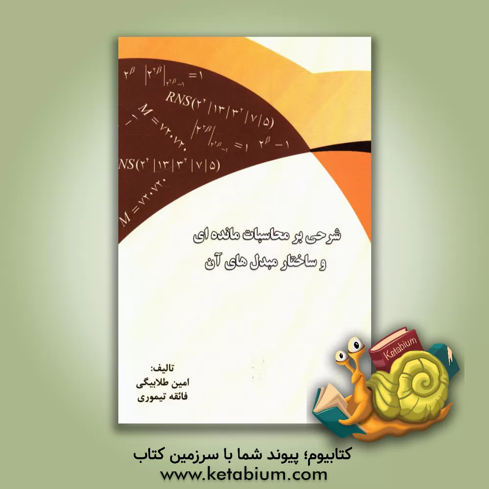 کتاب شرحی به محاسبات مانده ای و ساختار مبدلهای آن اثر امین طلابیگی