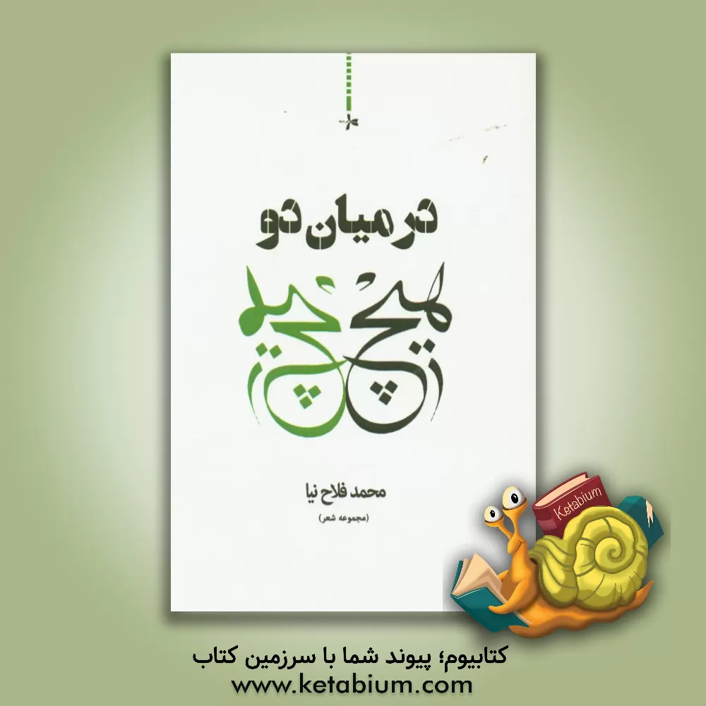 کتاب در میان دو هیچ اثر محمد فلاح‌نیا