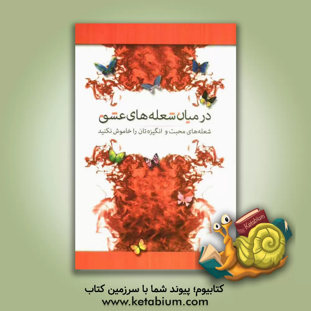 کتاب در میان شعله های عشق: شعله های محبت و انگیزه تان را خاموش نکنید اثر سیدمجتبی حورایی