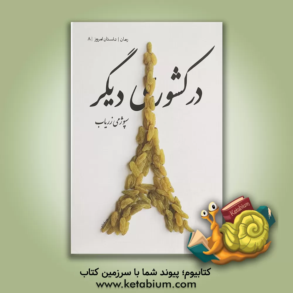 کتاب در کشوری دیگر اثر سپوژمی زریاب