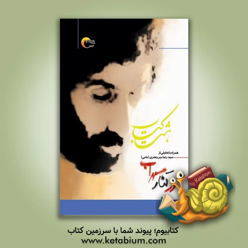 کتاب در کنار سهراب، هشت کتاب اثر رضا میرجعفری