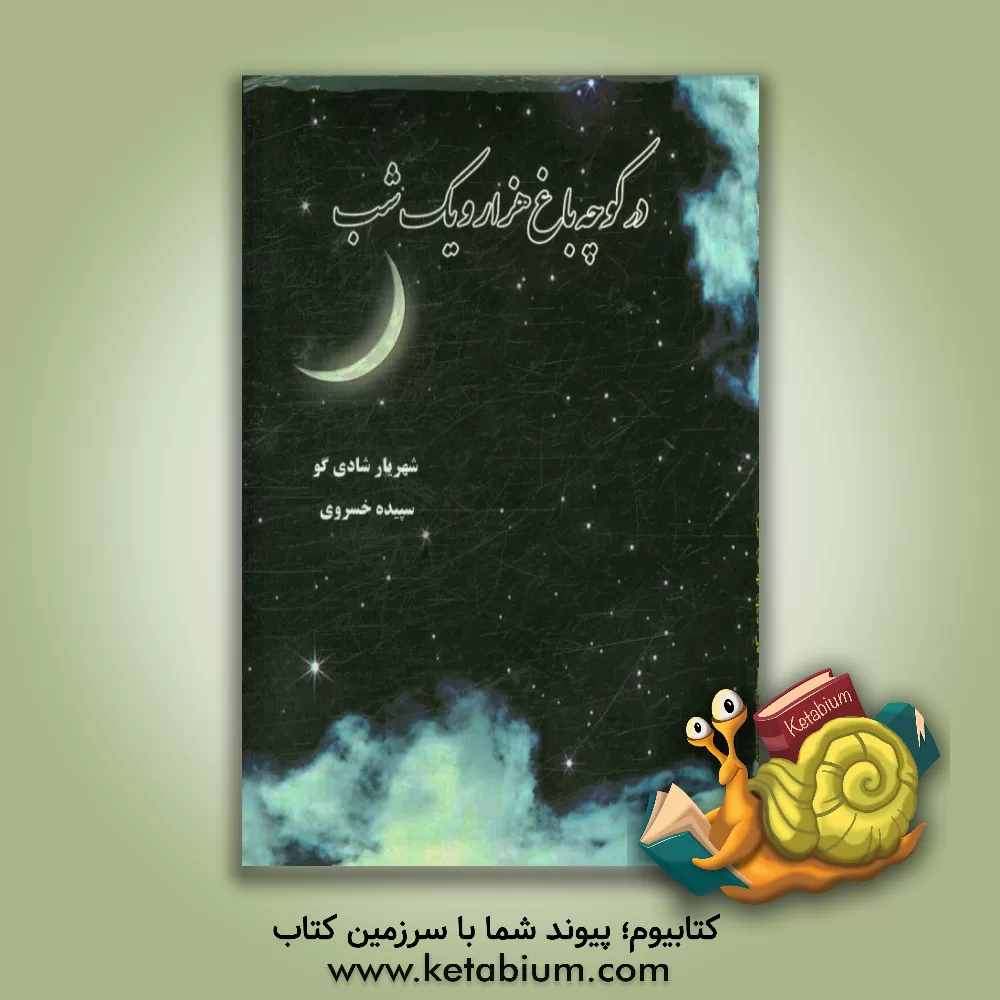 کتاب در کوچه باغ هزار و یک شب: گذری بر ادب غنایی،  حماسی و عرفانی در داستان های هزار و یک شب |اثر شهریار شادی گوی